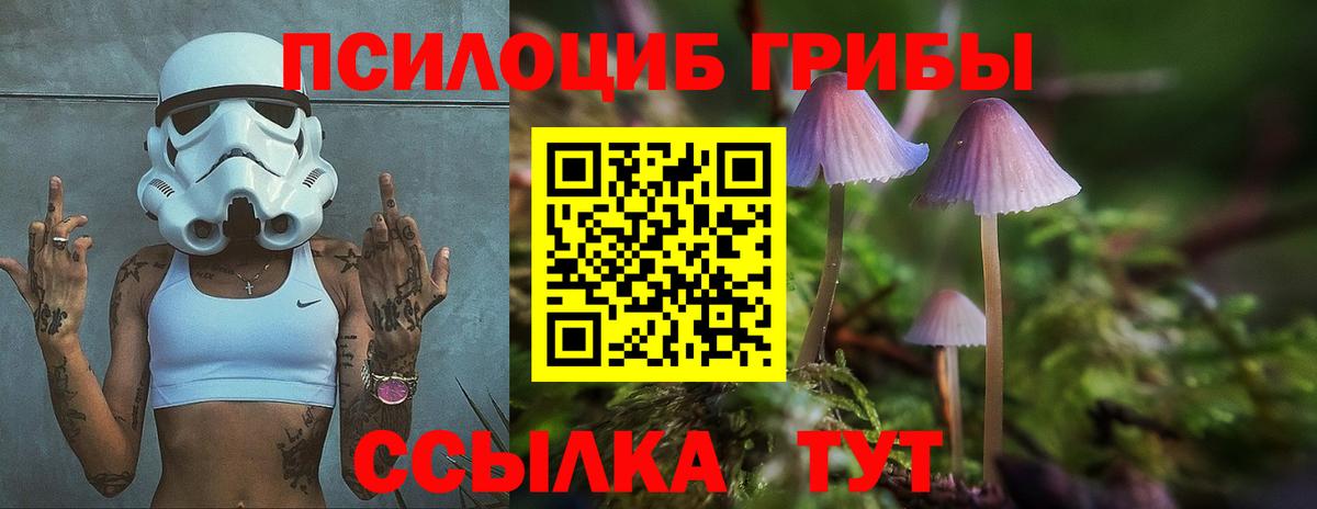 Псилоцибиновые грибы ЛСД  Вход с VPN  Лабинск 